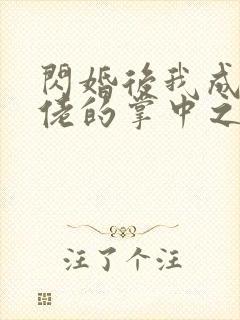 闪婚后我成了大佬的掌中之物番外篇