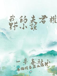 我的夫君权倾朝野小说