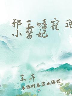 邪王嗜宠 逆天小医妃