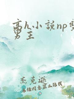 高h小说np双男主