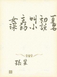 女主叫初夏顾霆琛的小说名字