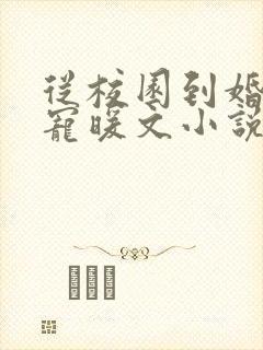 从校园到婚纱甜宠暖文小说