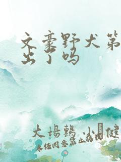 文豪野犬第六季出了吗