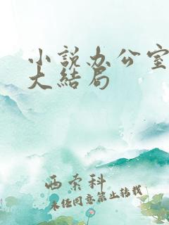 小说办公室隐婚大结局