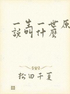 一生一世原著小说叫什么