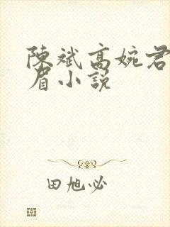 陈斌高婉君赵心眉小说