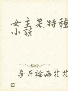 女主是特种兵的小说