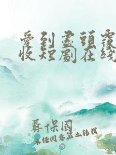 爱到尽头覆水难收短剧在线观看免费