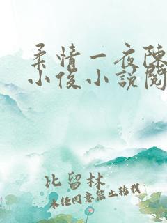 柔情一夜陈蕊王小俊小说阅读