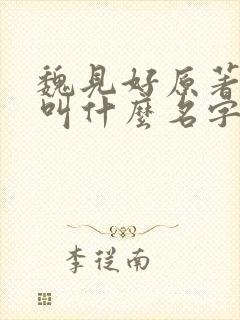 魏见好原著小说叫什么名字