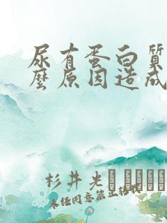 尿有蛋白质是什么原因造成的