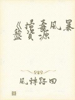 《扫毒风暴》网盘资源