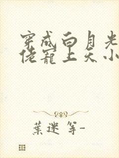 穿成白月光被大佬宠上天小说