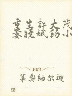 重生许大茂不添娄晓娥的小说