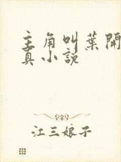 主角叫叶开的修真小说