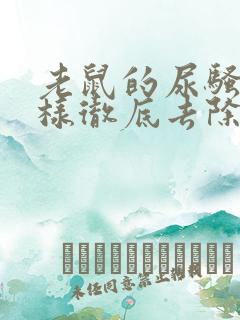 老鼠的尿骚味怎样彻底去除