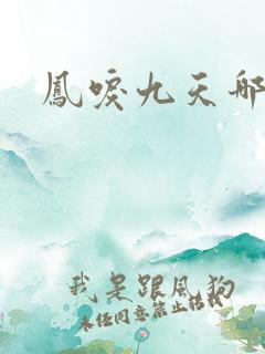 凤唳九天哪里看