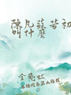 陈凡苏若初小说叫什么