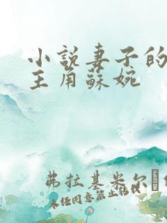 小说妻子的秘密主角苏婉