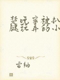 楚晚宁被扒开双腿玩弄的小说