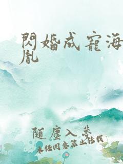 闪婚成宠海彤战胤
