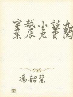 穿越小说九皇子叶辰免费阅读