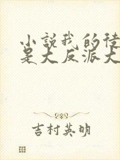 小说我的徒弟都是大反派大结局