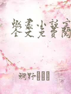 燃尽小说完整版全文免费阅读