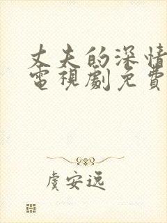 丈夫的深情谎言电视剧免费观看