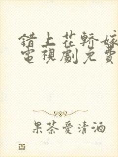 错上花轿嫁对郎电视剧免费观看