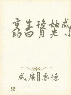 重生后她成皇帝的白月光 小说