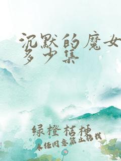 沉默的魔女一共多少集