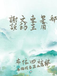 谢文东是哪部小说的主角