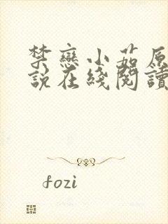 禁恋小茹原著小说在线阅读免费