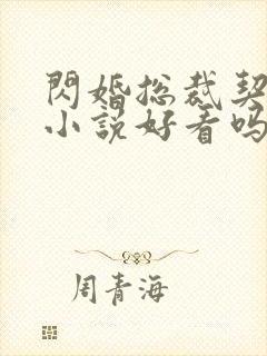 闪婚总裁契约妻小说好看吗