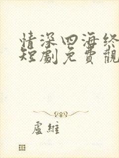 情深四海终成空短剧免费观看