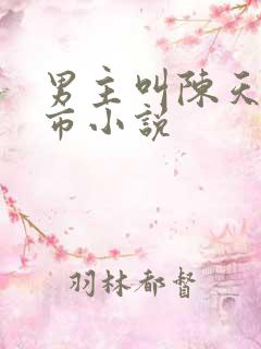 男主叫陈天的都市小说