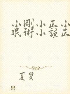 小刚小正小柔催眠术小说正版阅读