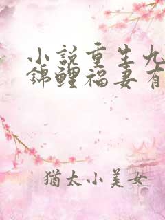 小说重生九零之锦鲤福妻有空间