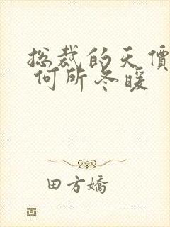 总裁的天价宠妻 何所冬暖