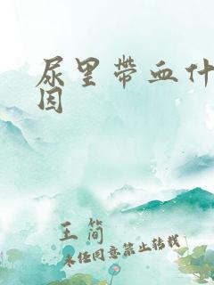 尿里带血什么原因