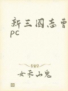 新三国志曹操传pc