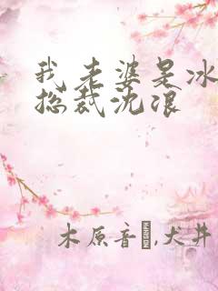 我老婆是冰山女总裁沈浪