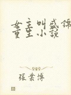 女主叫盛锦初的重生小说