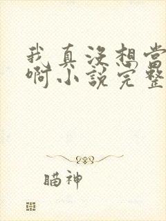 我真没想当皇帝啊小说完整版