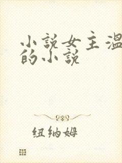 小说女主温栀南的小说