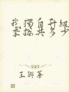 我独自升级第二季总共多少集