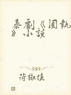 泰剧《固执的爱》小说