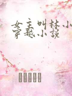 女主叫林小满的穿越小说