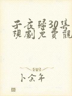 子夜归30集电视剧免费观看全集高清